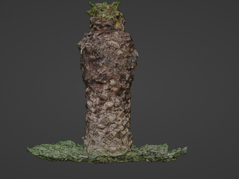 Tree palm 3D मॉडल
