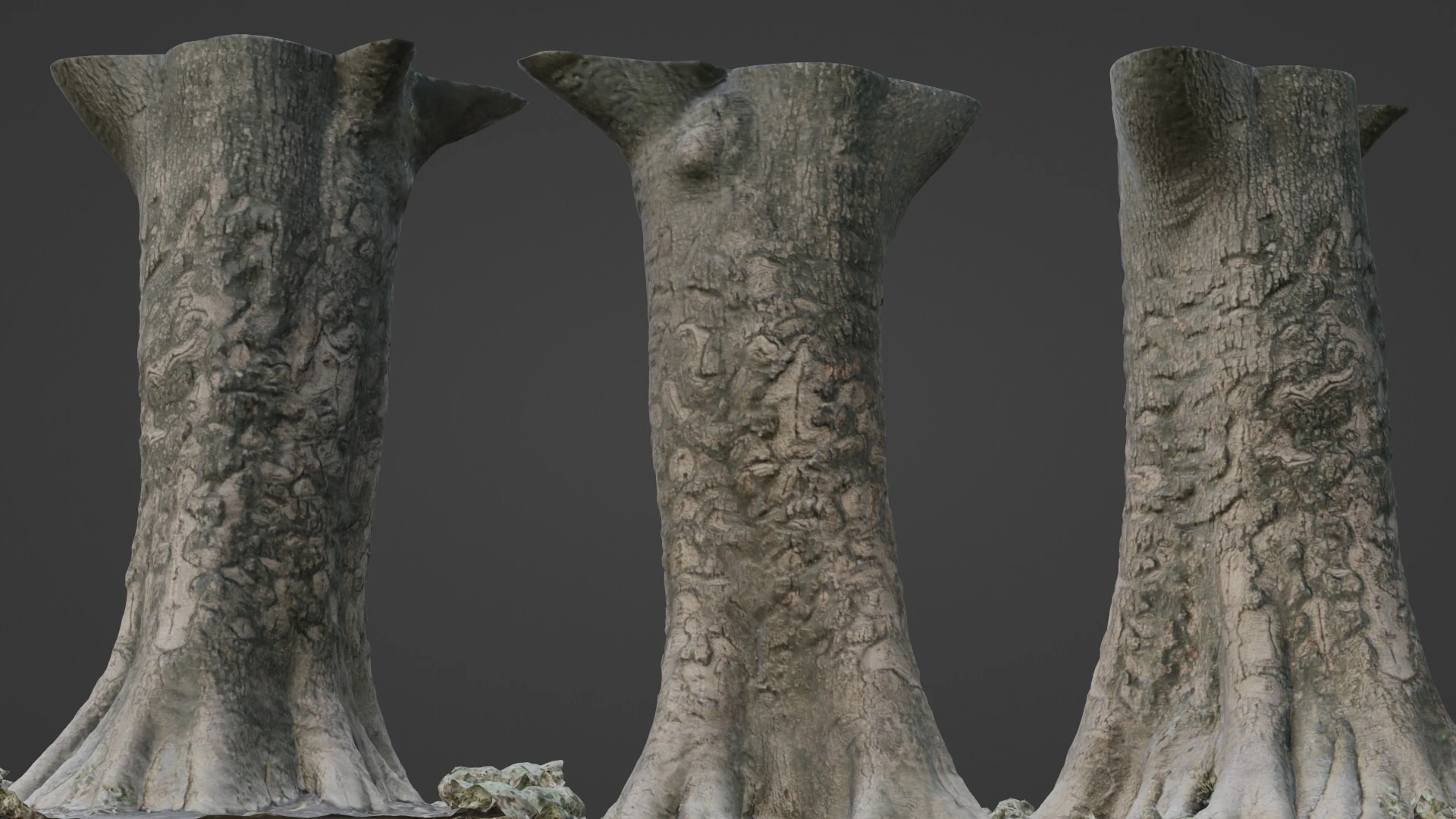Scanned tree 3D Model .c4d .max .obj .3ds .fbx .stl .blend 