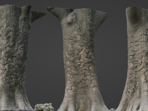 Scanned tree 3D Model