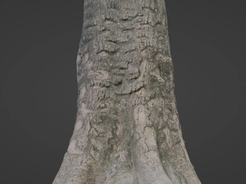 Scanned tree 3D Model