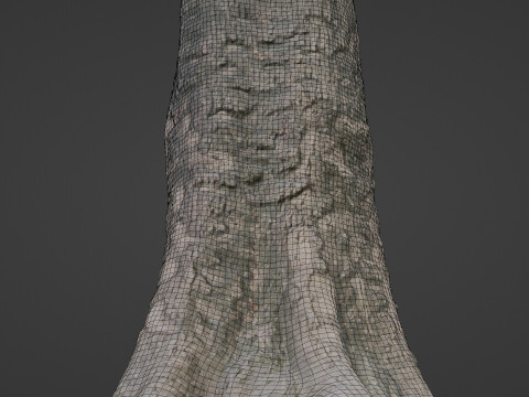 Scanned tree 3D Model