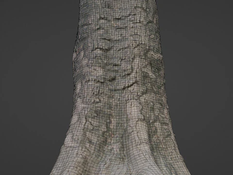 Scanned tree 3D Model