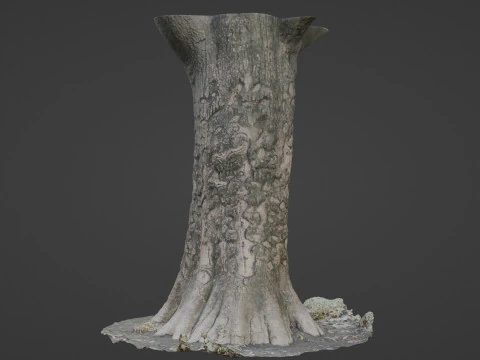 Scanned tree 3D Model