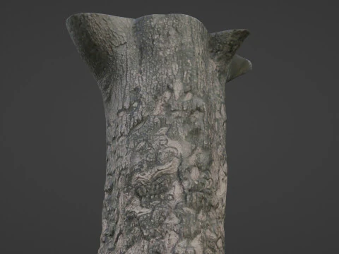 Scanned tree 3D Model