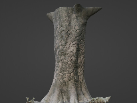 Scanned tree 3D Model