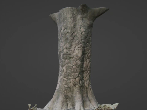 Scanned tree 3D Model