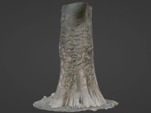 Scanned tree 3D Model