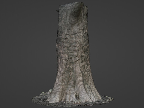 Scanned tree 3D Model