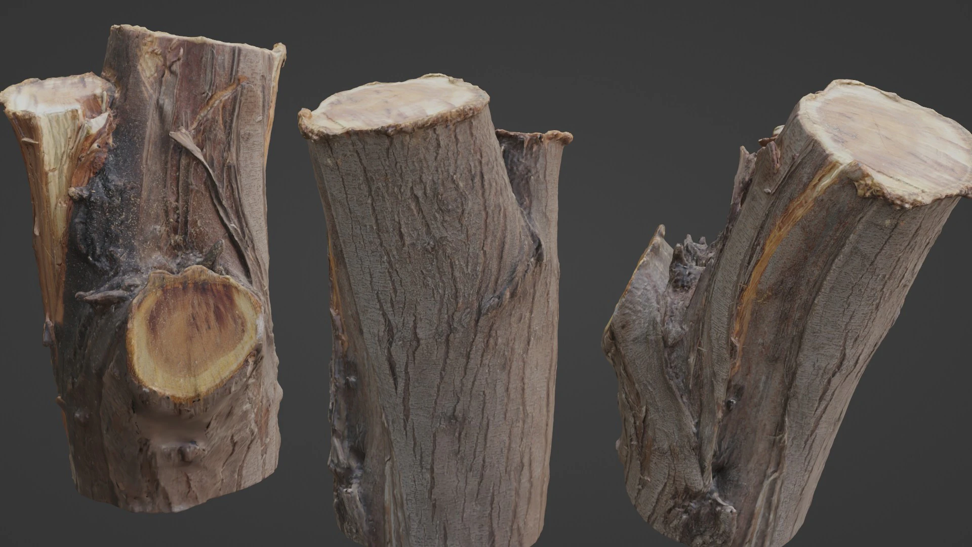 Stump 3D Model .c4d .max .obj .3ds .fbx .stl .blend