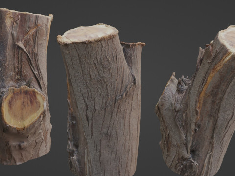 Stump 3D Модель