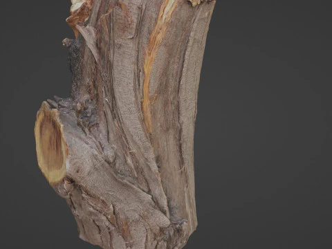 Stump 3D Model