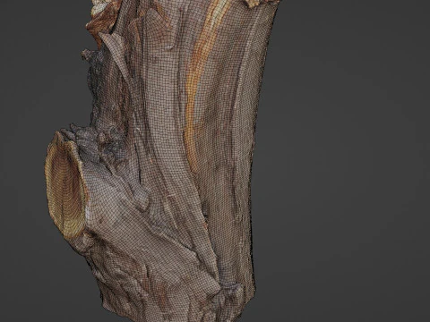 Stump 3D Model