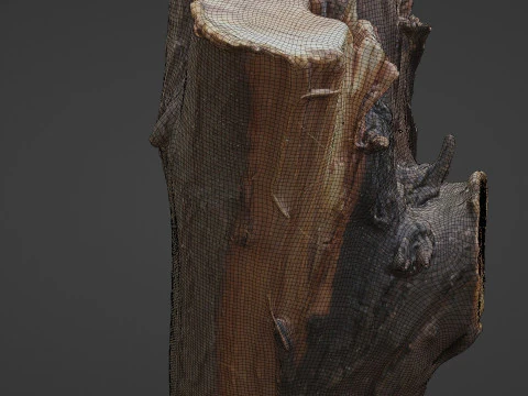 Stump 3D Model