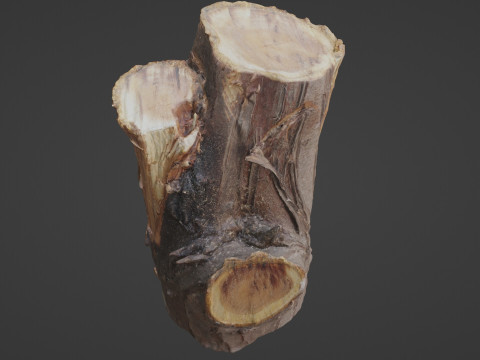 Stump Modelo 3D