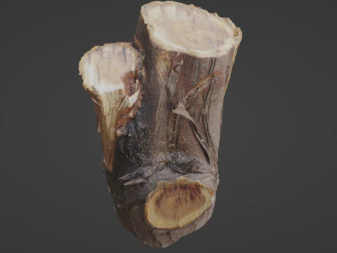 Stump 3D Model