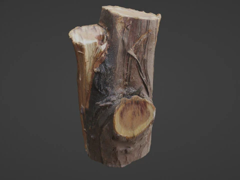 Stump 3D Model