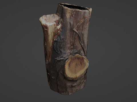 Stump Modelo 3D