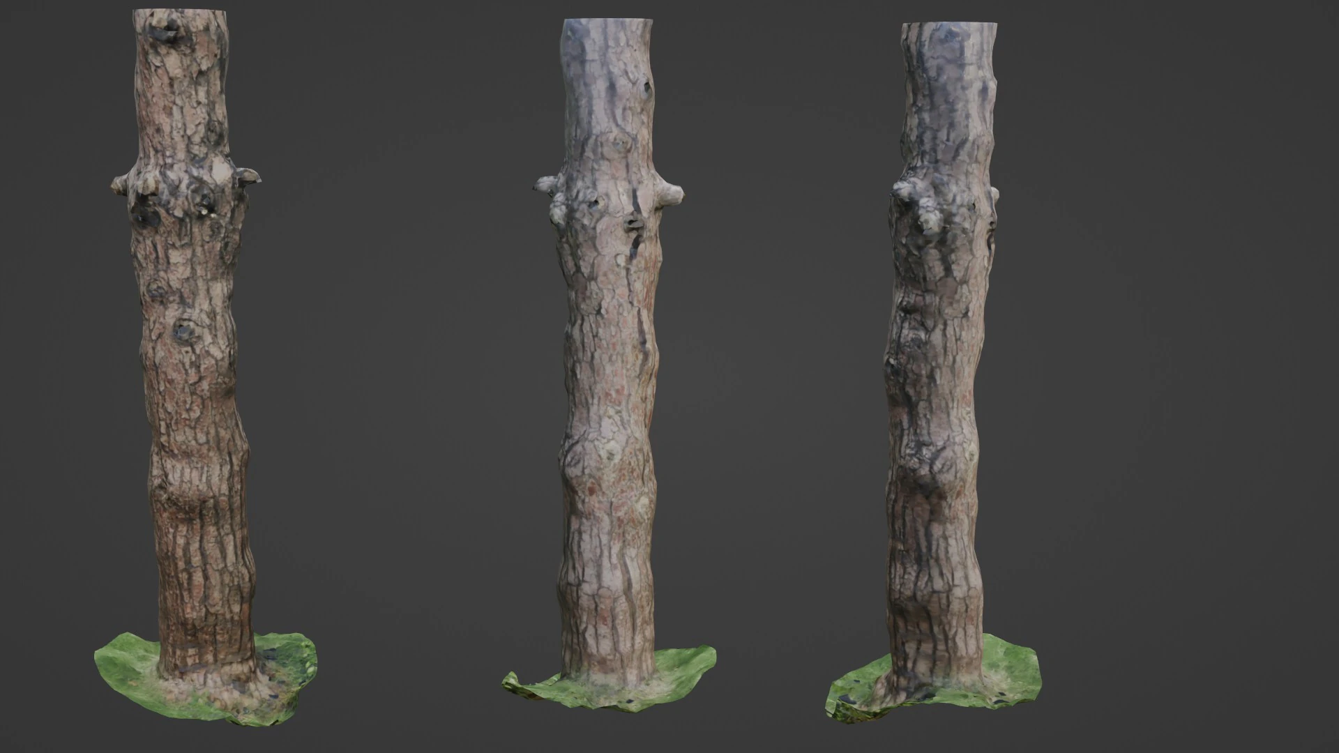 Tall tree 3D Model .c4d .max .obj .3ds .fbx .stl .blend 