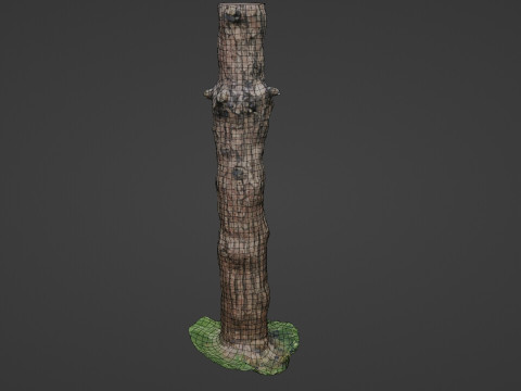 Tall tree 3D Model