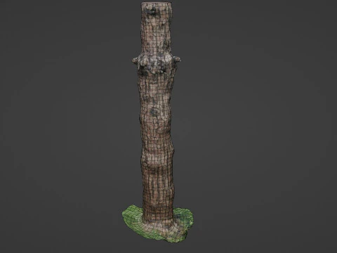 Tall tree 3D Model