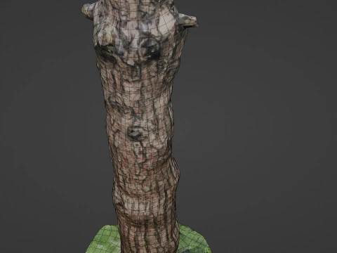 Tall tree 3D Model