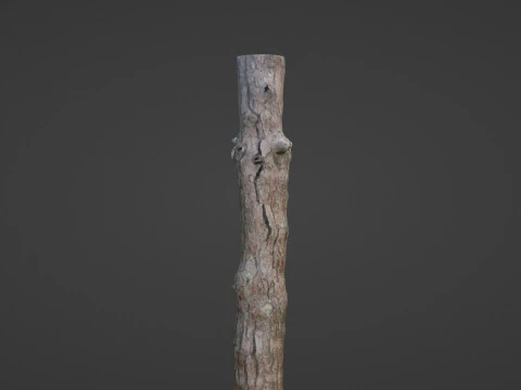 Tall tree 3D Model