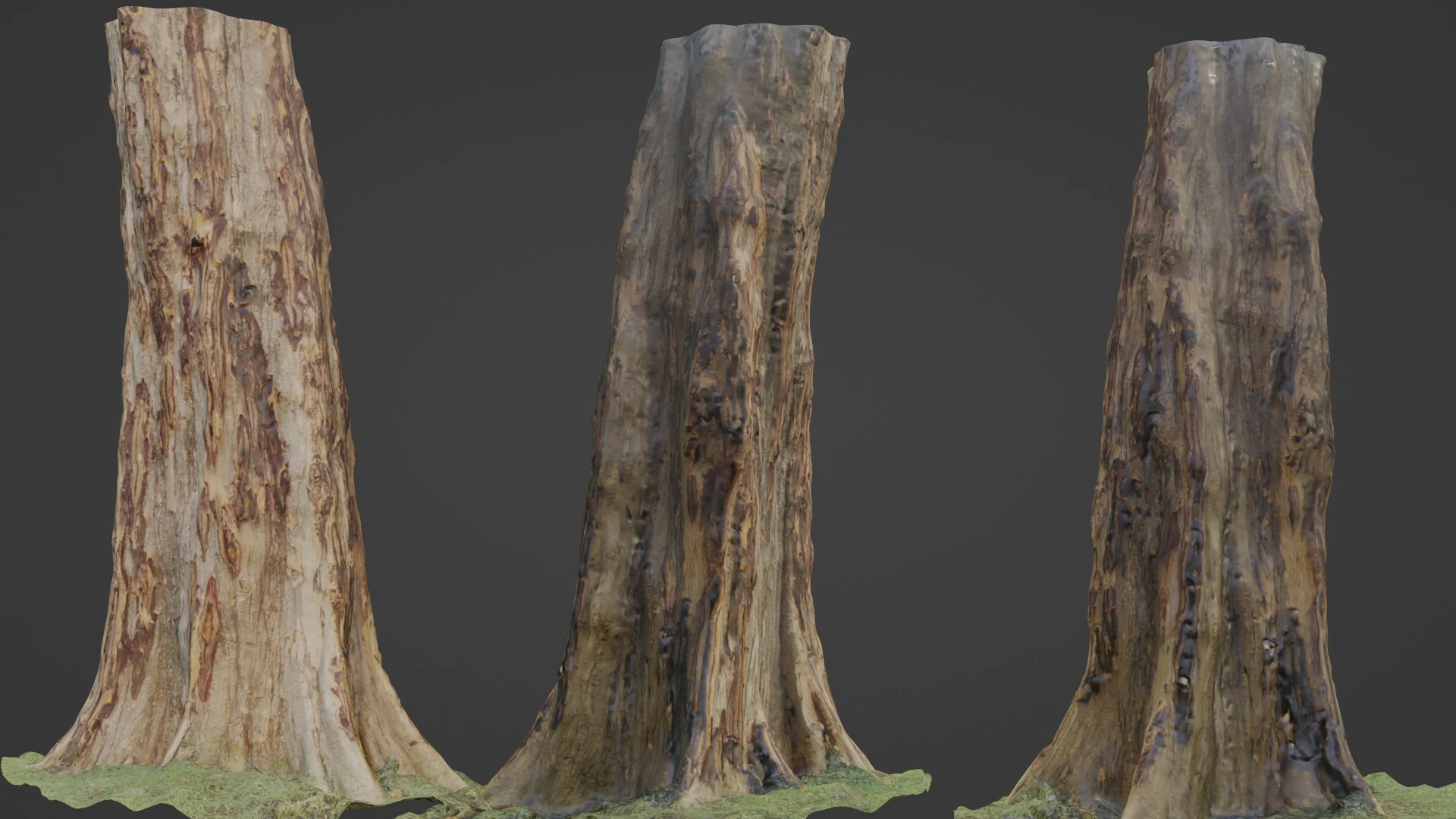 Tree 3D Model .c4d .max .obj .3ds .fbx .stl .blend