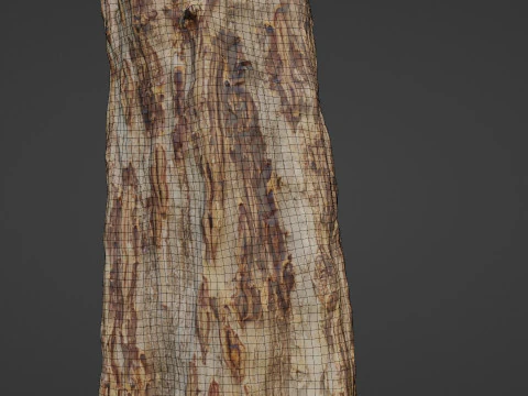 Tree 3D Model