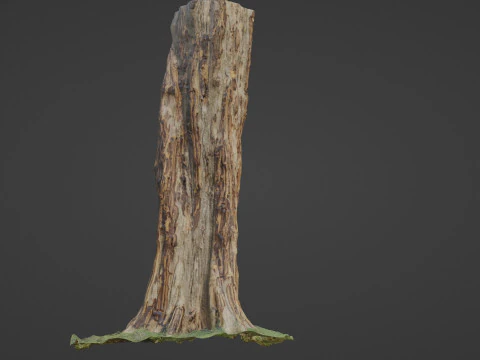 Tree 3D Model