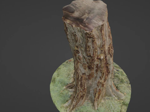 Tree 3D Model