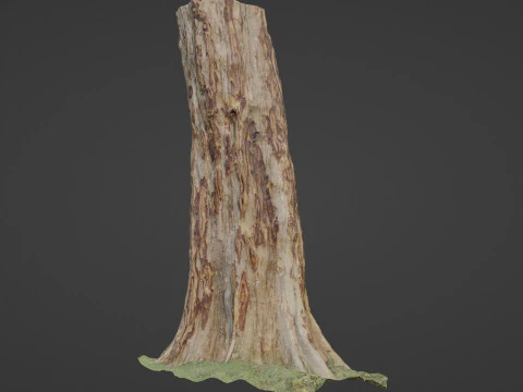 Tree 3D Model