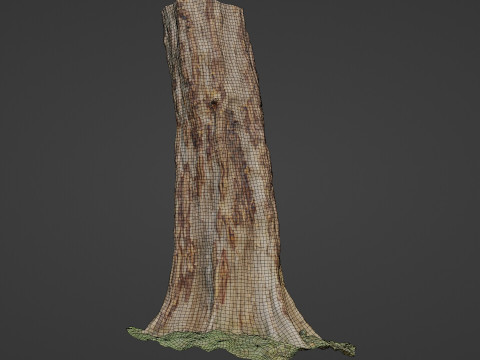 Tree 3D मॉडल