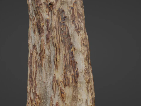 Tree 3D Model