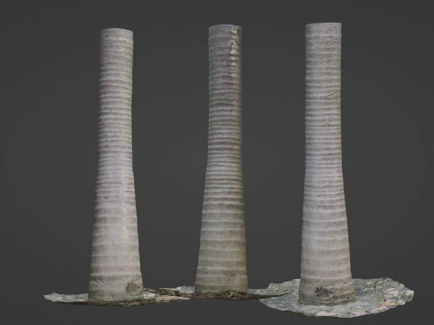 Coconut tree 3D Model