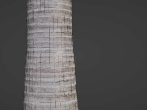 Coconut tree Model 3D