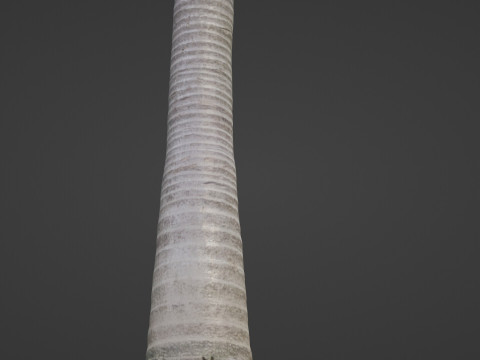 Coconut tree Model 3D