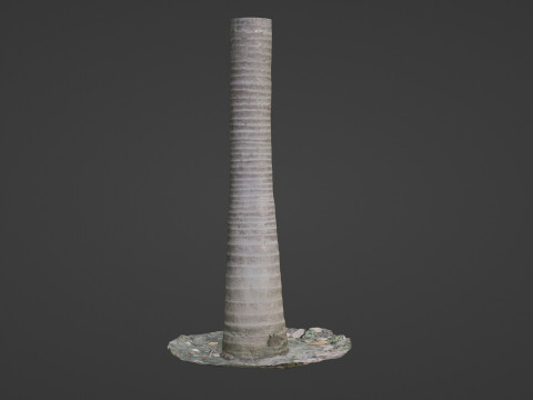 Coconut tree Model 3D