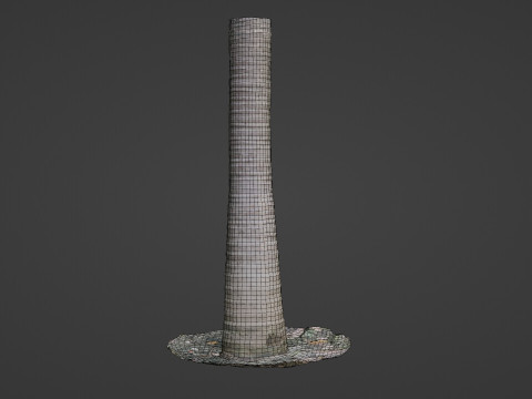 Coconut tree Model 3D