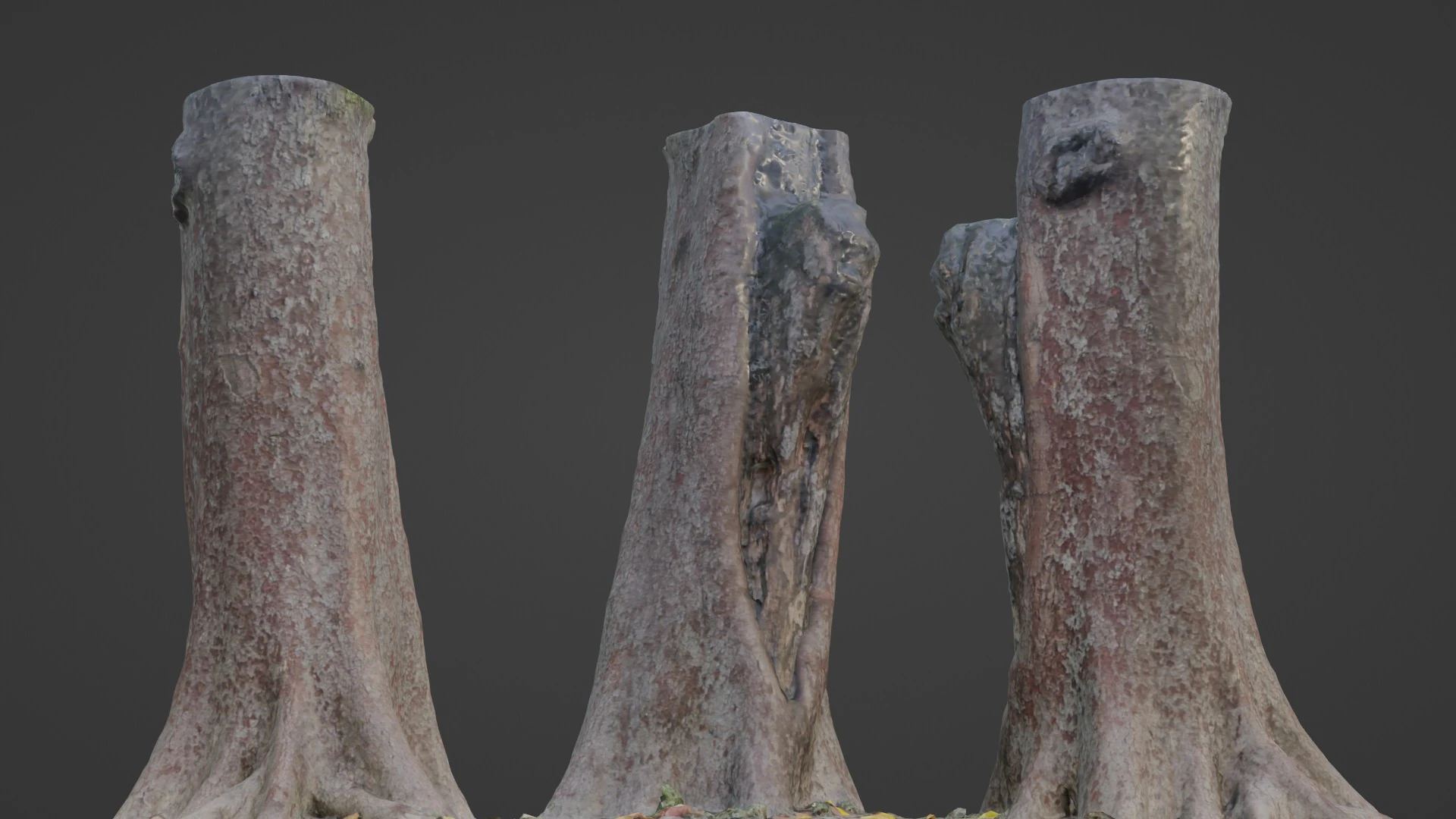 Tree 3D Model .c4d .max .obj .3ds .fbx .stl .blend 