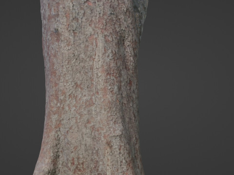 Tree Modelo 3D