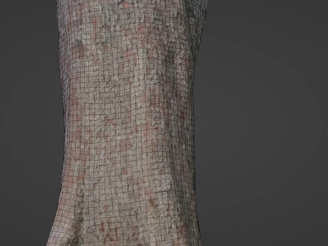 Tree 3D Model