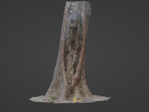 Tree Modelo 3D