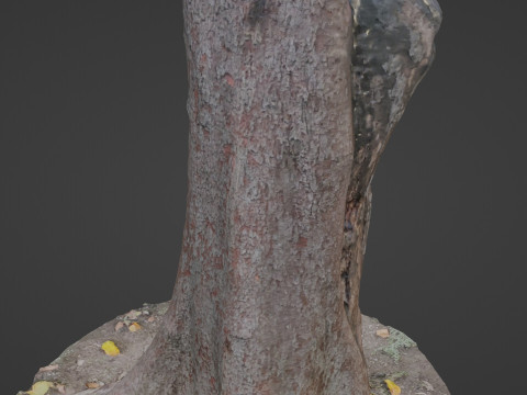 Tree Modelo 3D
