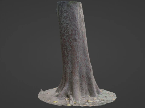 Tree 3D Model