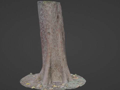 Tree Modelo 3D