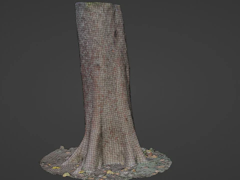 Tree 3D Model