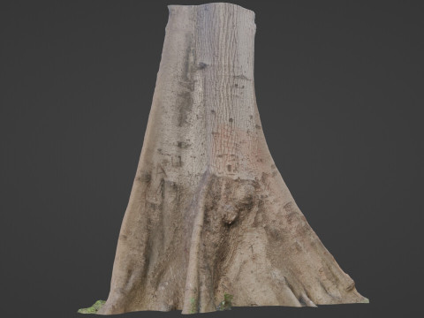 Tree Gaint 3D 모델
