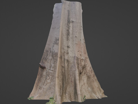 Tree Gaint 3D 모델