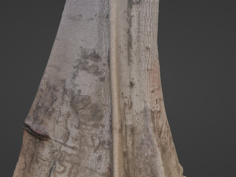 Tree Gaint 3D 모델