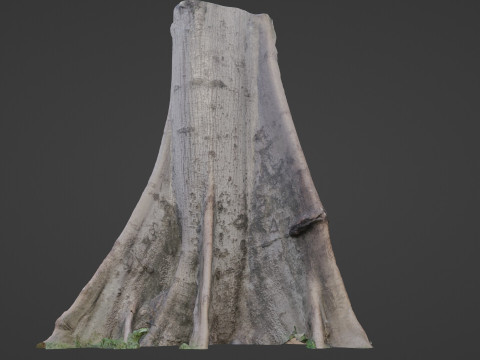Tree Gaint 3D 모델
